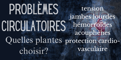 Circulation sanguine: les plantes efficaces